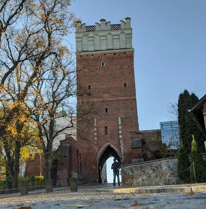 Brama Warszawska (Opatów)