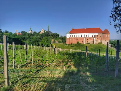 Winnica Dominikanów (przy Kościele św. Jakuba)